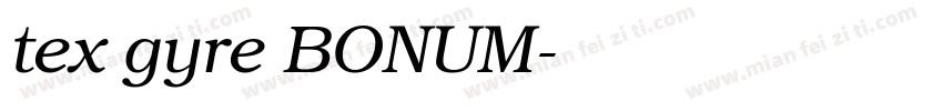 tex gyre BONUM字体转换